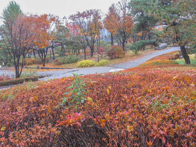 韓國首爾南山谷韓屋村 秋天紅葉景色