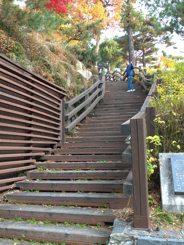 韓國忠清北道 堤川中央公園 秋天紅葉景色