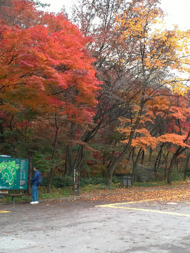 首爾南山北側循環路 終點