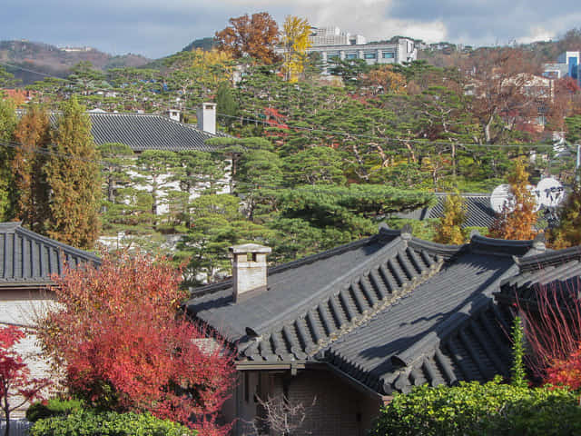 北村韓屋村 眺望