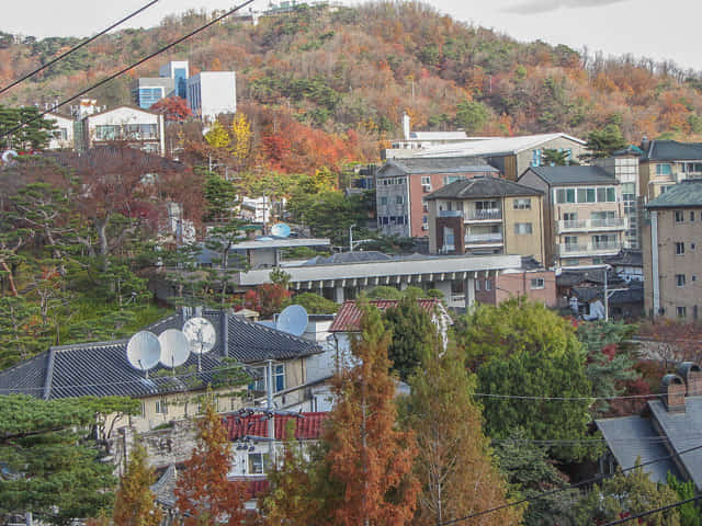 北村韓屋村 最高免費眺望地點