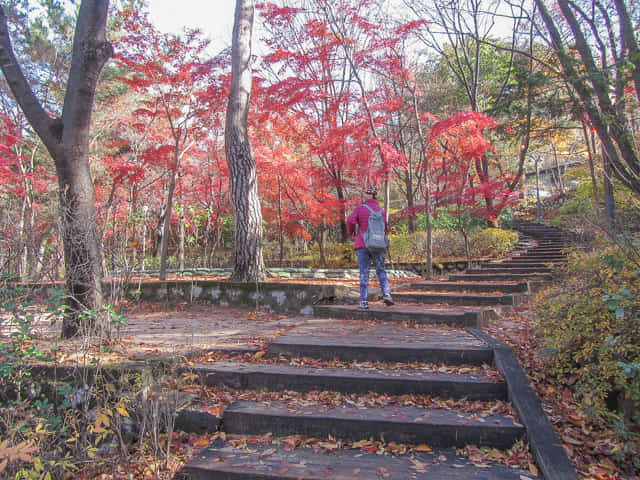 首爾三清洞 三清公園 北岳山首爾城郭登山路 秋天紅葉景色