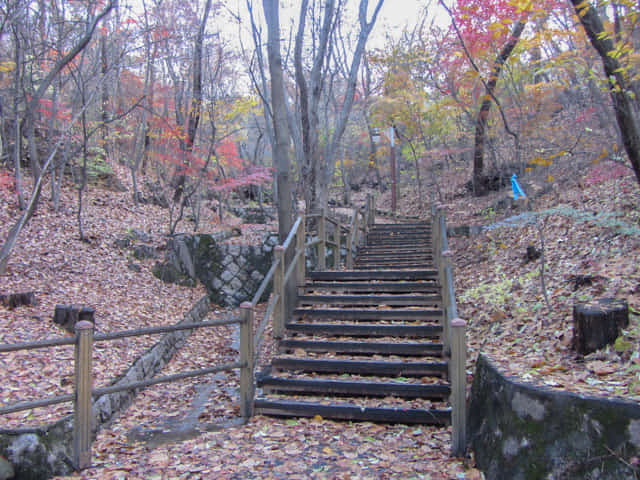 首爾三清洞 三清公園 北岳山首爾城郭登山路 