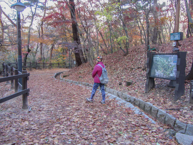 首爾三清洞 三清公園 北岳山首爾城郭登山路 