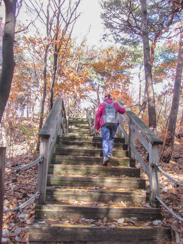 三清公園 北岳山 首爾城郭 馬岩站 登山路