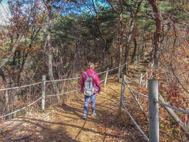 三清公園 北岳山 首爾城郭 馬岩站 登山路