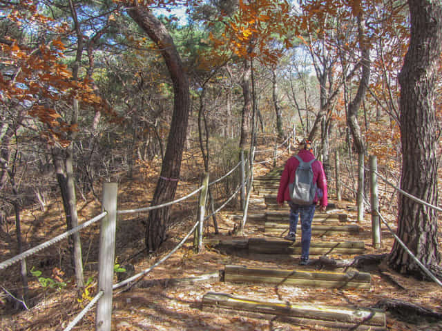 三清公園 北岳山 首爾城郭 馬岩站 登山路