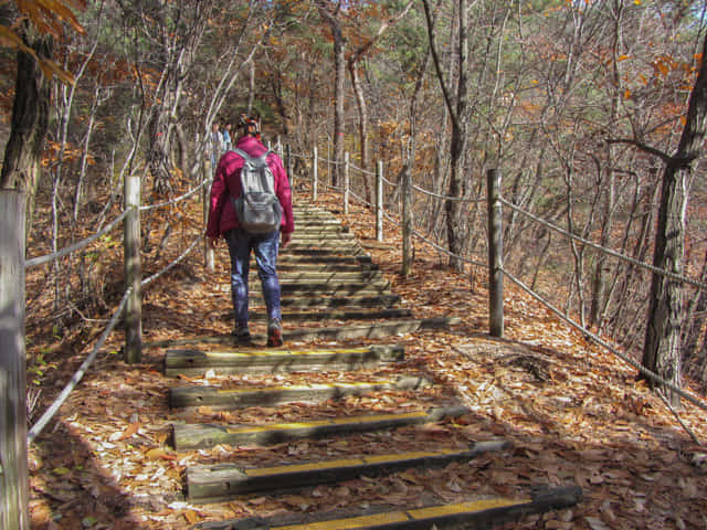 三清公園 北岳山 首爾城郭 馬岩站 登山路