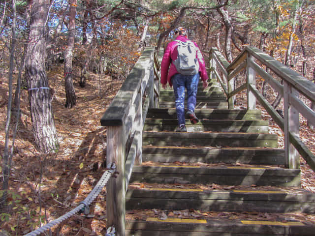 三清公園 北岳山 首爾城郭 馬岩站 登山路