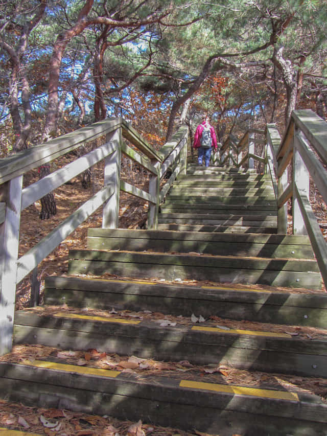 三清公園 北岳山 首爾城郭 馬岩站 登山路