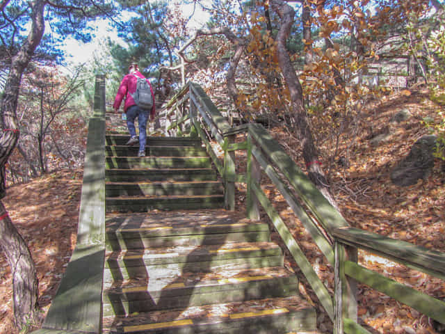 三清公園 北岳山 首爾城郭 馬岩站 登山路