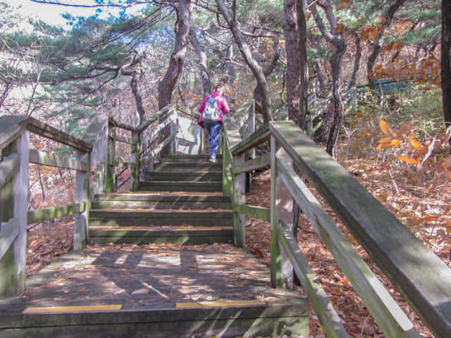 三清公園 北岳山 首爾城郭 馬岩站 登山路