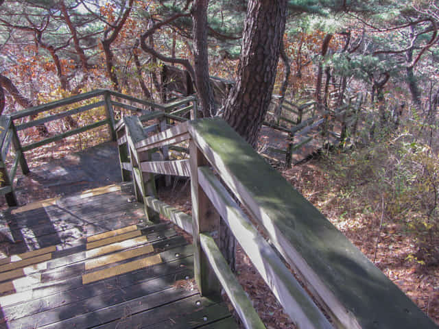 三清公園 北岳山 首爾城郭 馬岩站 登山路