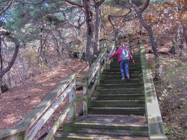 三清公園 北岳山 首爾城郭 馬岩站 登山路