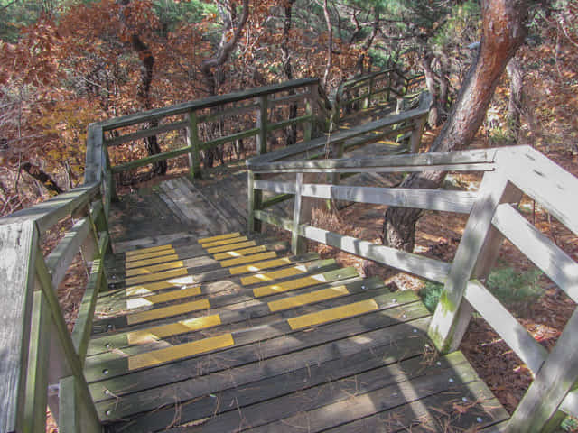 三清公園 北岳山 首爾城郭 馬岩站 登山路