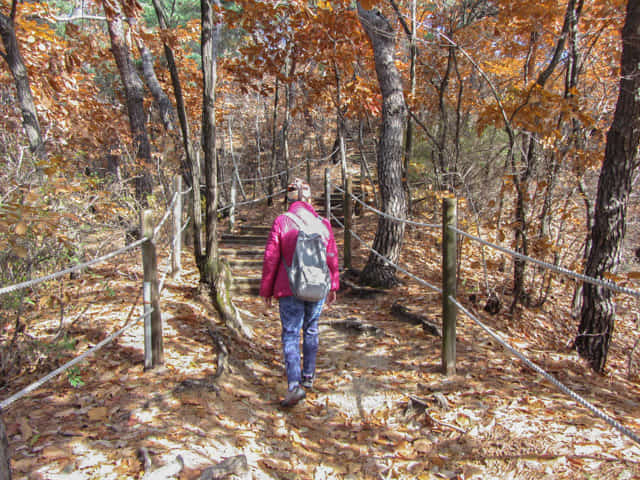 三清公園 北岳山 首爾城郭 馬岩站 登山路