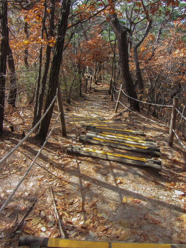 三清公園 北岳山 首爾城郭 馬岩站 登山路