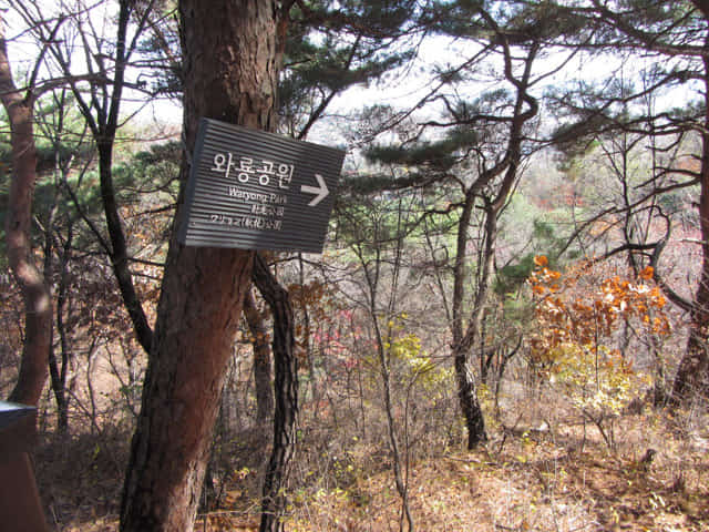 首爾城郭北岳山段 馬岩步行往臥龍公園 (와룡공원 Waryong Park)