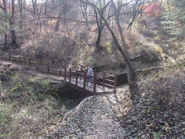 首爾城郭北岳山段 馬岩步行往臥龍公園 (와룡공원 Waryong Park)