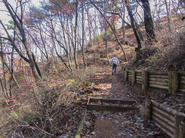 首爾城郭北岳山段 馬岩步行往臥龍公園 (와룡공원 Waryong Park)