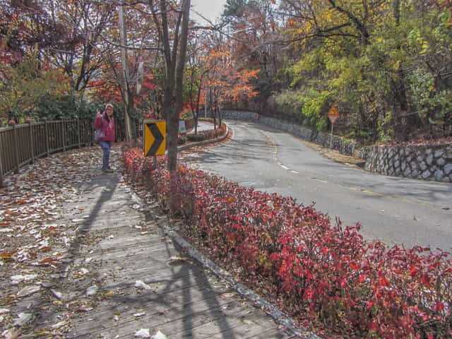 首爾城郭北岳山段 臥龍公園走往成均館大學 (성균관대학교 Sungkyunkwan University)