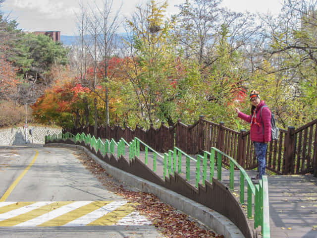 惠化成均館大學 (성균관대학교 Sungkyunkwan University) 秋天紅葉景色