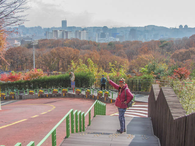 成均館大學 (성균관대학교 Sungkyunkwan University) 秋天紅葉景色