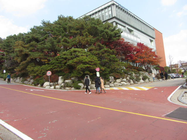 成均館大學 (성균관대학교 Sungkyunkwan University) 