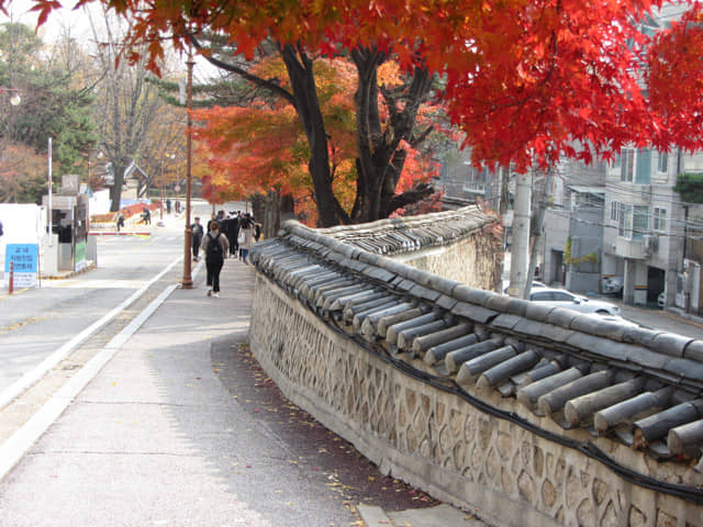 成均館大學 (성균관대학교 Sungkyunkwan University) 秋天紅葉