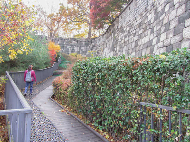 首爾城郭路駱山段 秋天紅葉景色