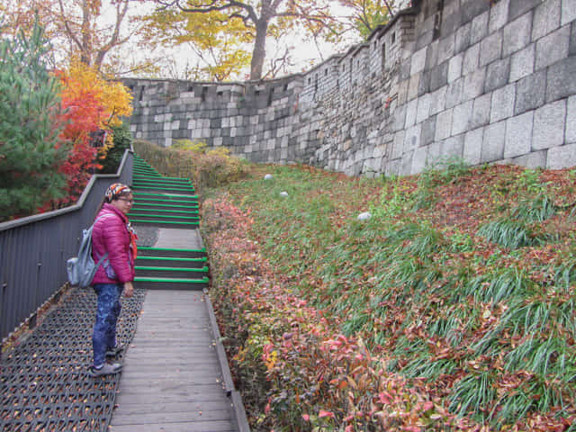 首爾城郭路駱山段 秋天紅葉景色