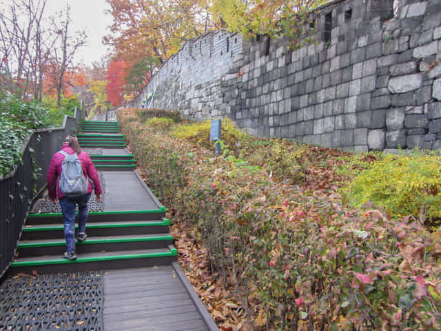 首爾城郭路駱山段 秋天紅葉景色