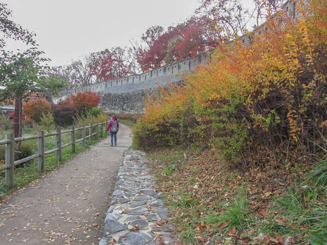 首爾城郭路駱山段 秋天紅葉景色