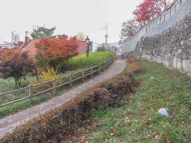 首爾城郭路駱山段 秋天紅葉景色