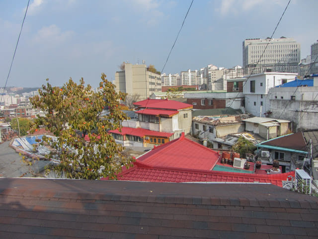 首爾城郭路駱山段 惠化門步行至駱山公園、東大門 長壽村 (장수마을)