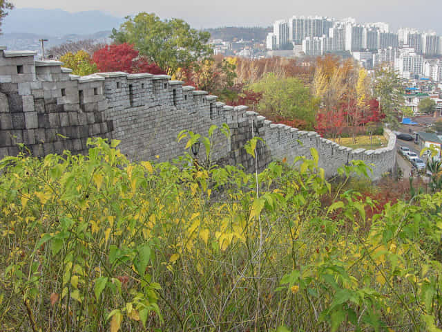 首爾城郭路駱山段 秋天紅葉景色