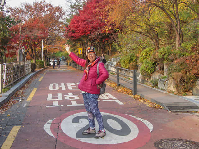 梨花洞壁畫村  秋天紅葉景色