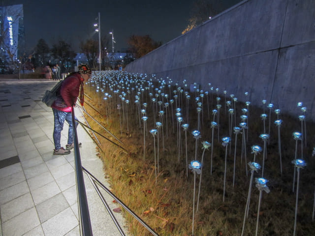 首爾東大門歷史文化公園 晚上夜色